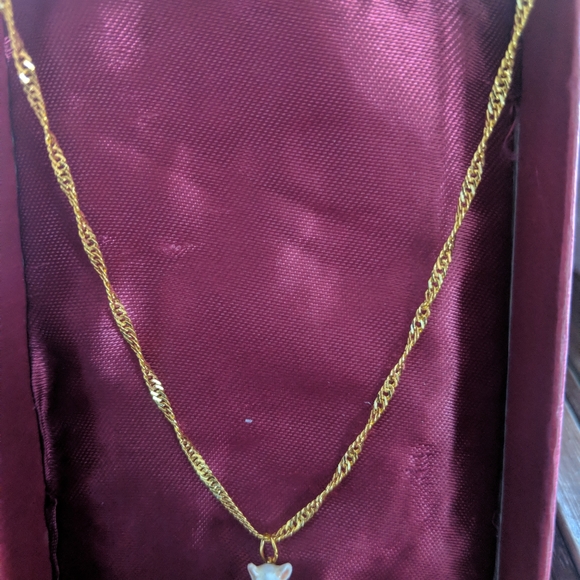 TREASURES Cat Enameled Hinged Box w Pendant - Picture 6 of 8